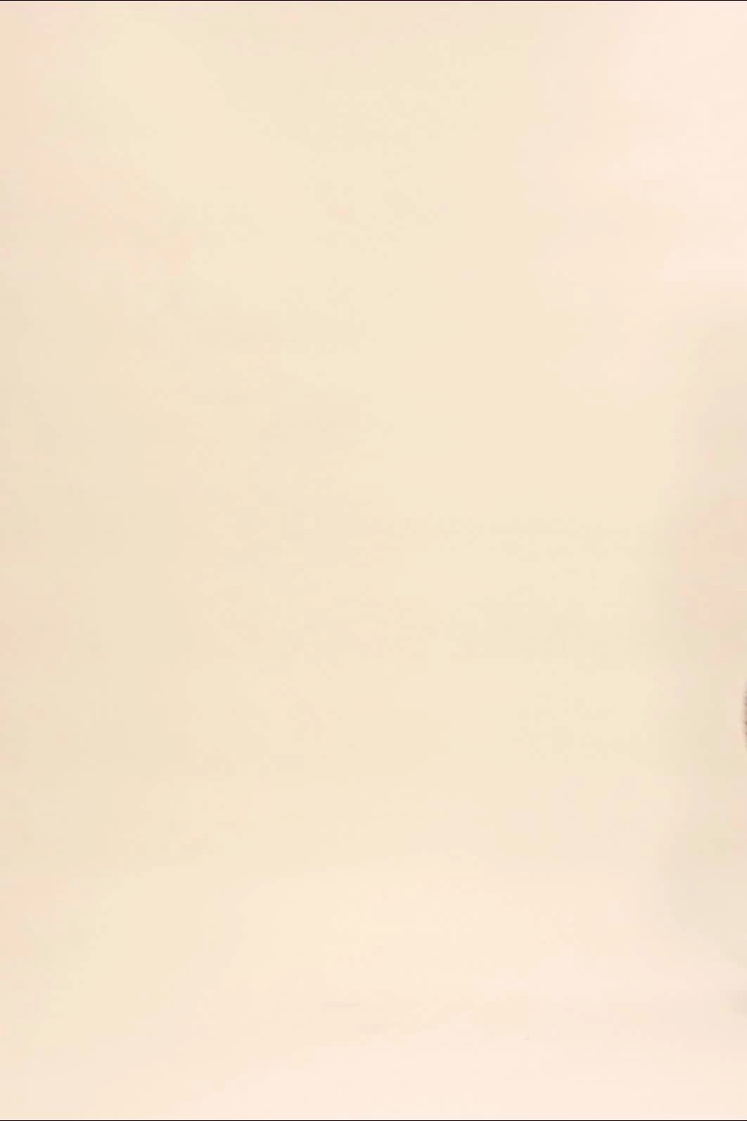 Vestido Midi Em Viscose Com Alca E Estampa Animal Print
