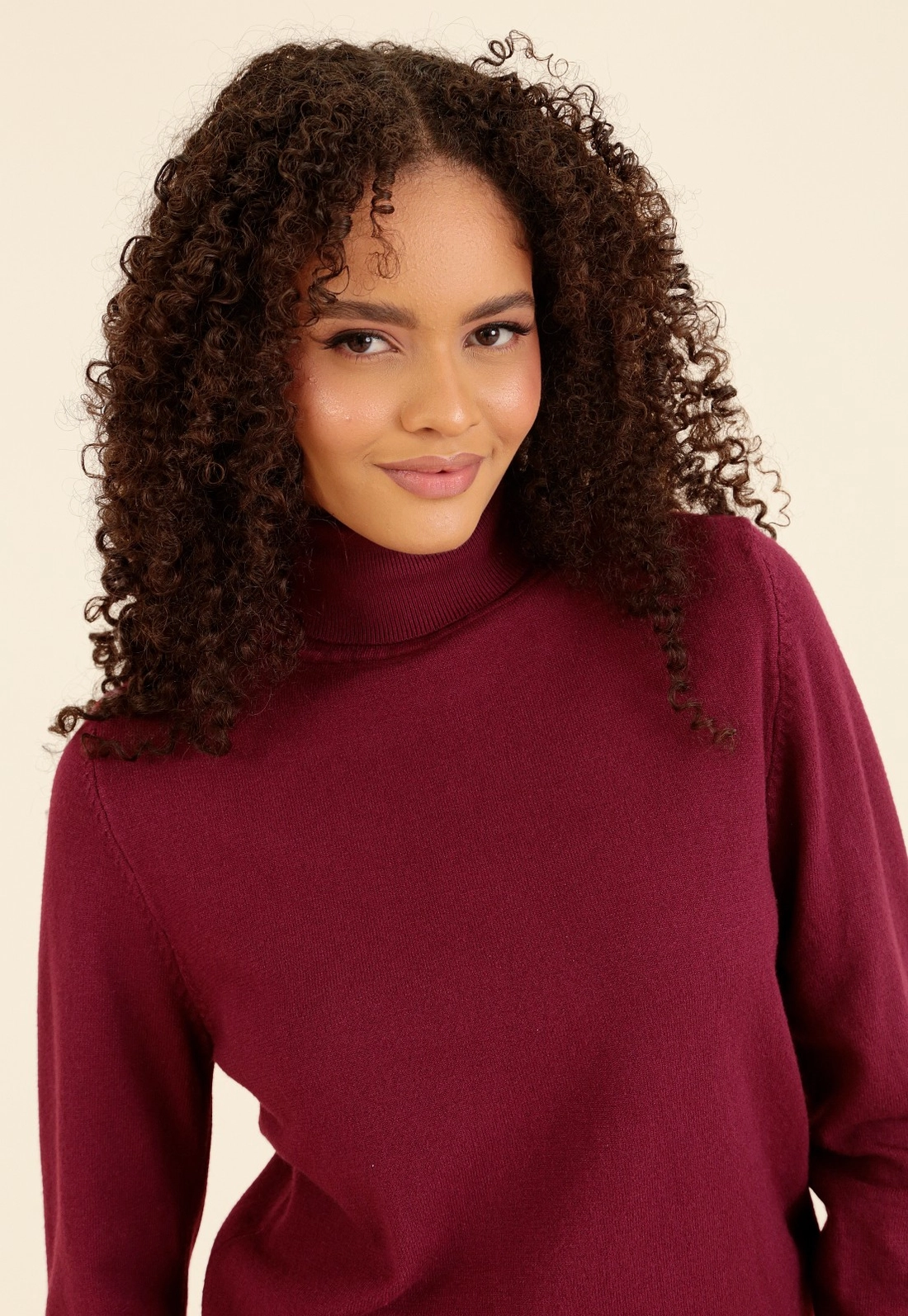 Blusa Tricô Gola Alta Básica